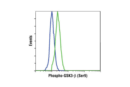 PhosphoPlus® GSK-3β (Ser9) Antibody Duet - 1 Kit