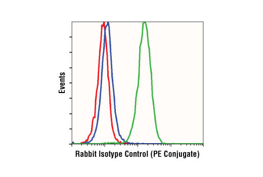 Rabbit (DA1E) mAb IgG XP® Isotype Control (PE Conjugate) - 100 ul