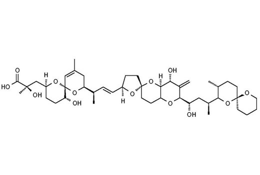 Okadaic Acid - 25 ug