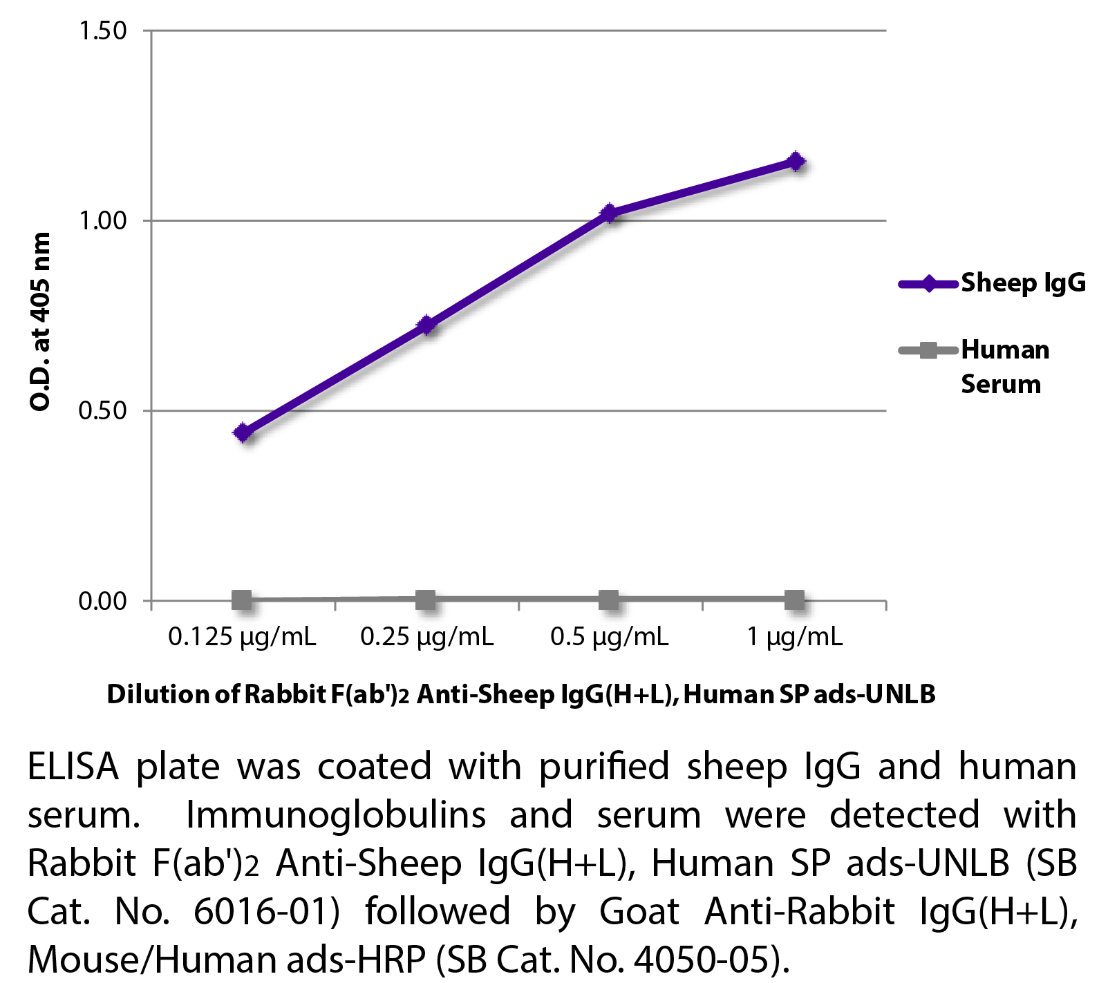 Rabbit F(ab')2 Anti-Sheep IgG(H+L), Human SP ads-UNLB - 0.5 mg