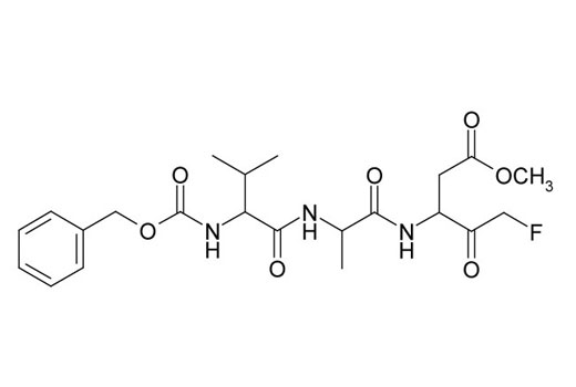 Z-VAD(OMe)-FMK - 1 mg