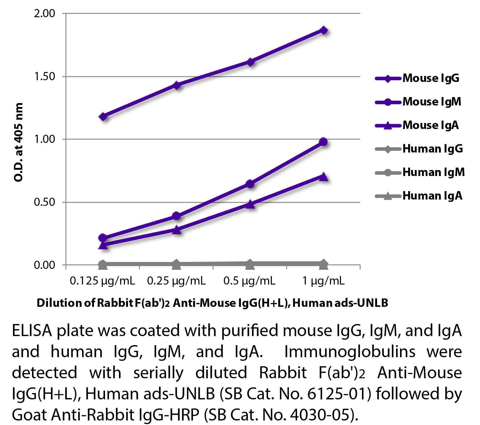 Rabbit F(ab')2 Anti-Mouse IgG(H+L), Human ads-UNLB - 0.5 mg