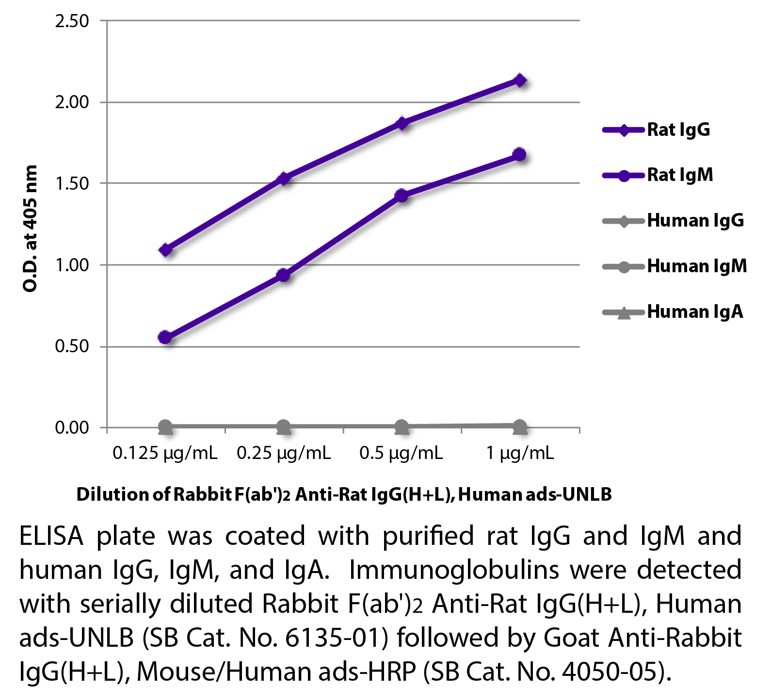 Rabbit F(ab')2 Anti-Rat IgG(H+L), Human ads-UNLB - 0.5 mg