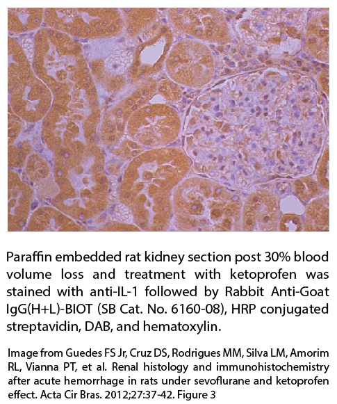 Rabbit Anti-Goat IgG(H+L)-BIOT - 1.0 mg