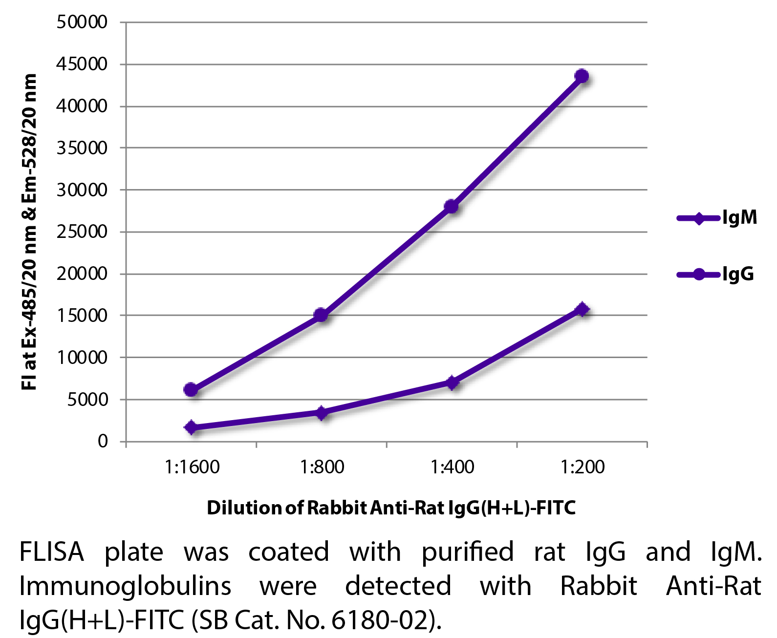 Rabbit Anti-Rat IgG(H+L)-FITC - 1.0 mg