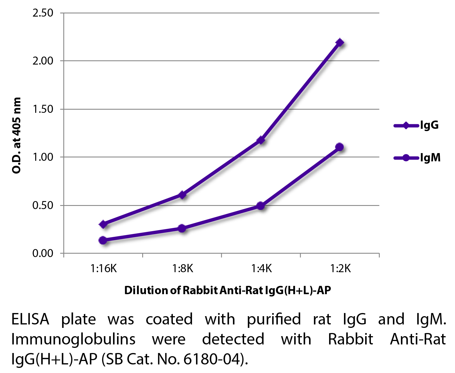 Rabbit Anti-Rat IgG(H+L)-AP - 1.0 mL