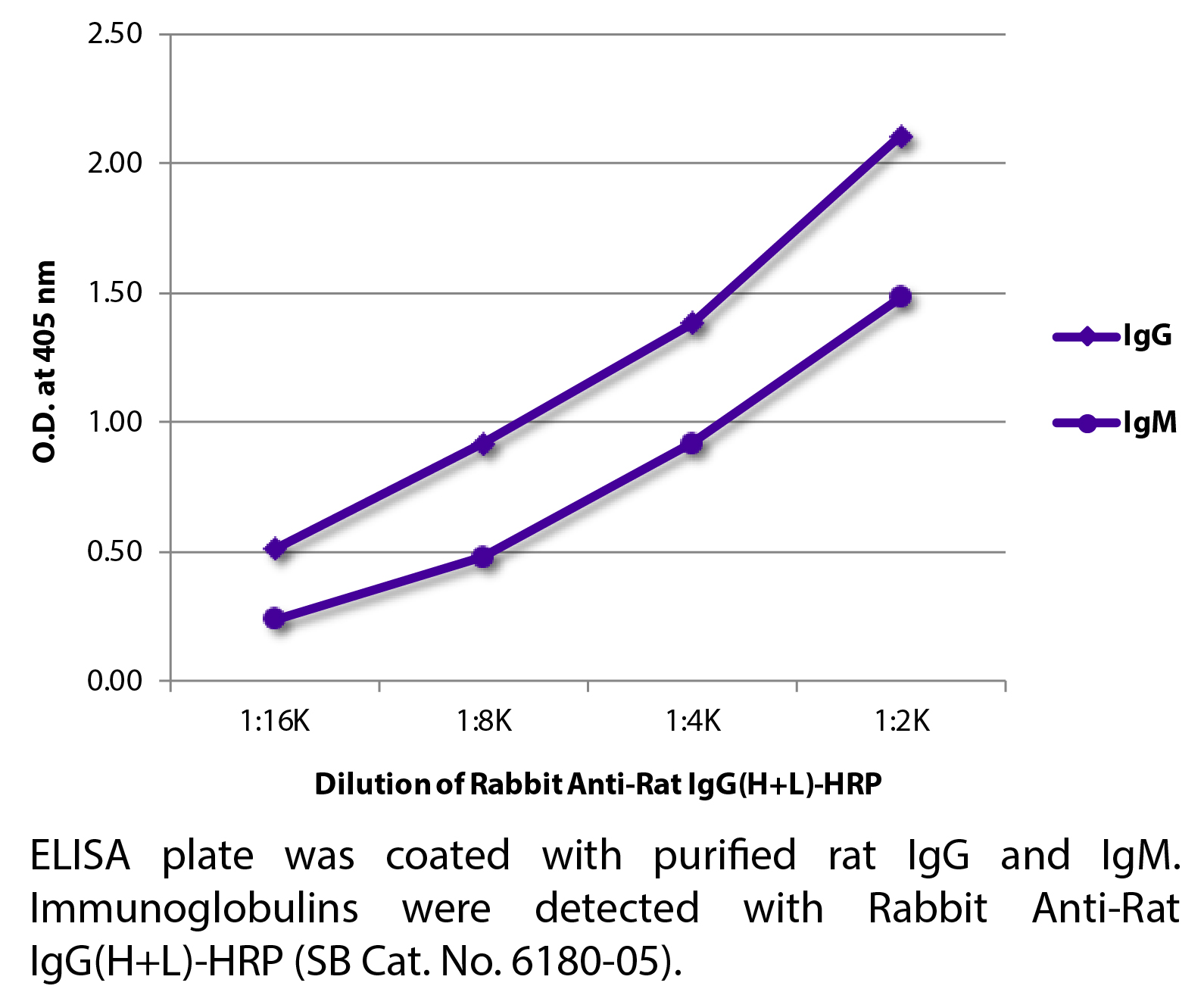 Rabbit Anti-Rat IgG(H+L)-HRP - 1.0 mL