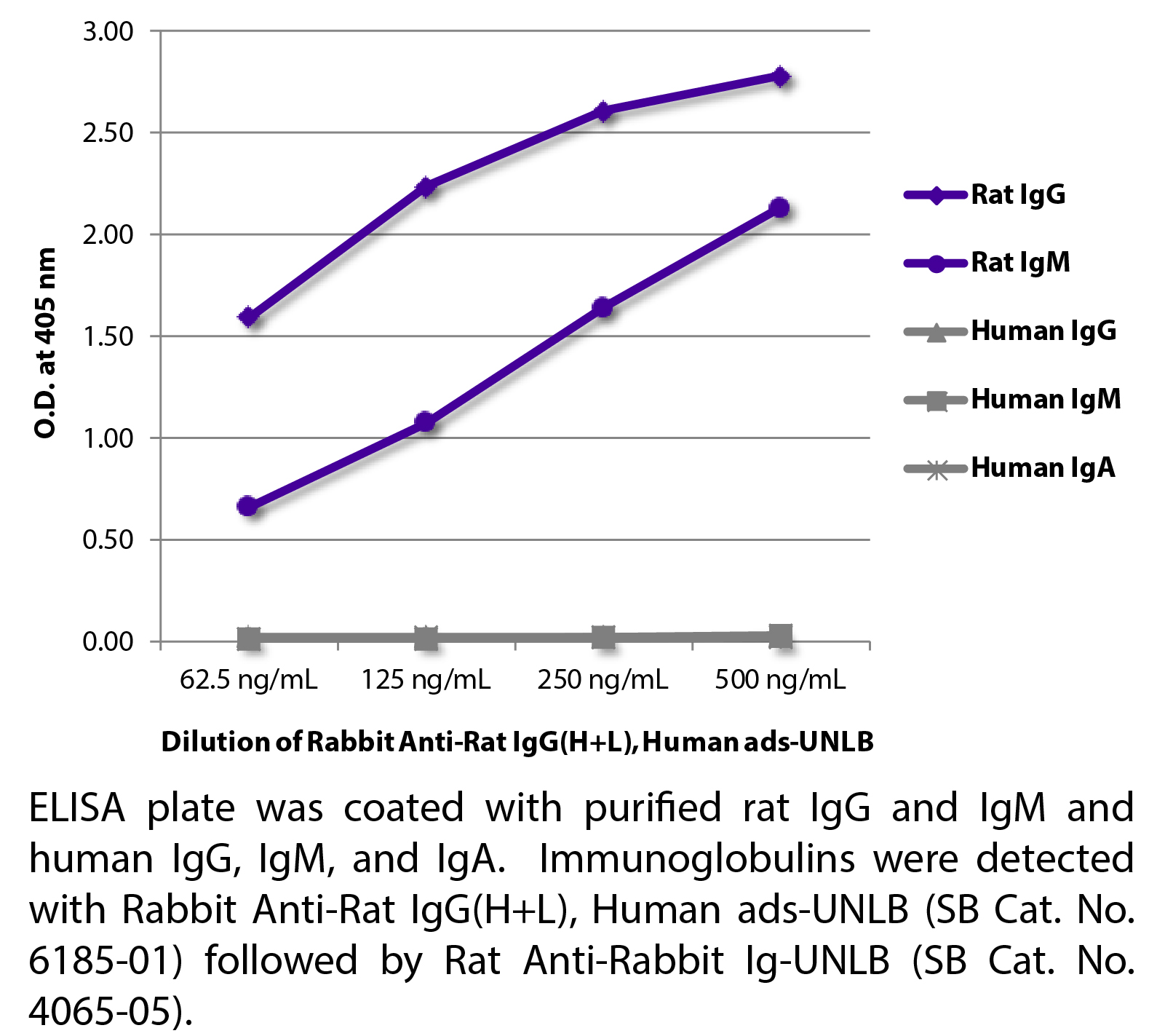 Rabbit Anti-Rat IgG(H+L), Human ads-UNLB - 1.0 mg