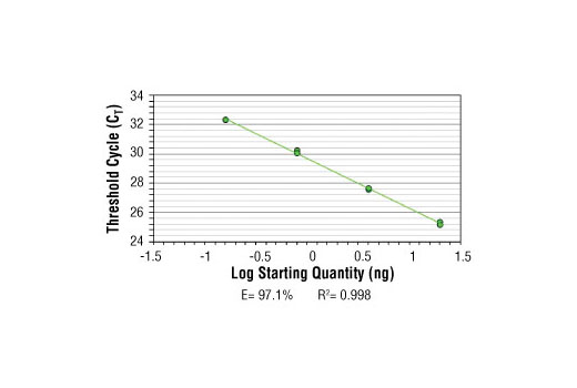 SimpleChIP® Human CDKN1A Promoter Primers - 500 ul