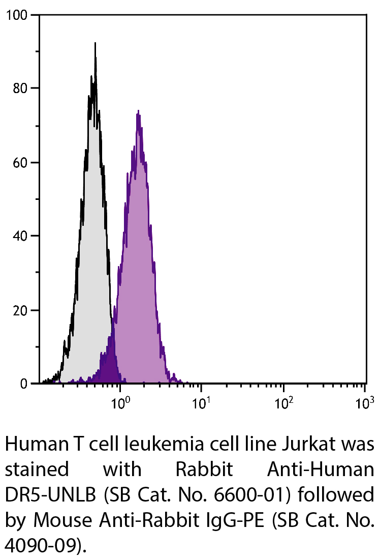 Rabbit Anti-Human DR5-UNLB - 0.1 mg