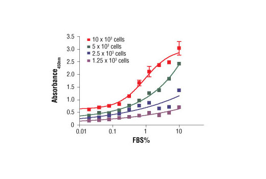 BrdU Cell Proliferation Assay Kit - 1 Kit