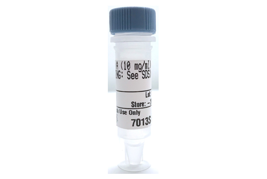 RNAse A (10 mg/ml) - 50 ul