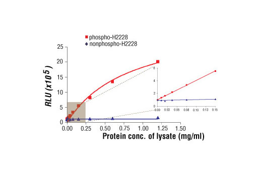 PathScan® Phospho-ALK (Tyr1604) Chemiluminescent Sandwich ELISA Kit - 1 Kit