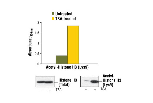 PathScan® Acetyl-Histone H3 (Lys9) Sandwich ELISA Kit - 1 Kit