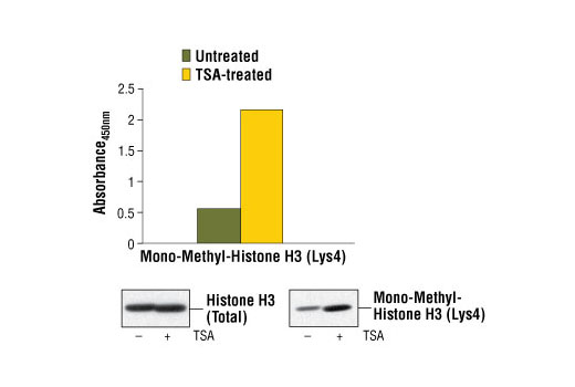 PathScan® Mono-Methyl-Histone H3 (Lys4) Sandwich ELISA Kit - 1 Kit