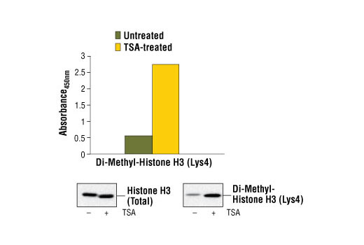 PathScan® Di-Methyl-Histone H3 (Lys4) Sandwich ELISA Kit - 1 Kit