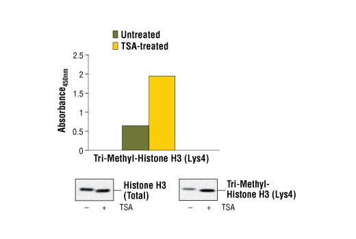 PathScan® Tri-Methyl-Histone H3 (Lys4) Sandwich ELISA Kit - 1 Kit