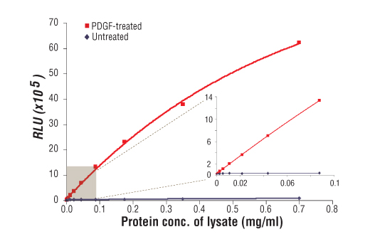 PathScan® Phospho-Akt (Thr308) Chemiluminescent Sandwich ELISA Kit - 1 Kit