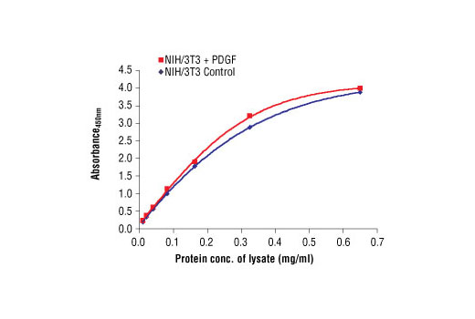 PathScan® Total Akt1 Sandwich ELISA Antibody Pair - 1 Kit