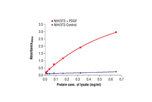 PathScan® Phospho-Akt (Thr308) Sandwich ELISA Antibody Pair - 1 Kit