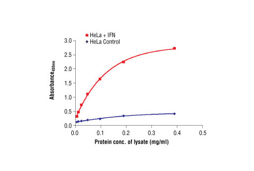 PathScan® Phospho-Stat3 (Tyr705) Sandwich ELISA Antibody Pair - 1 Kit