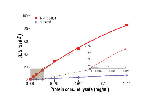 PathScan® Phospho-Stat3 (Tyr705) Chemiluminescent Sandwich ELISA Kit - 1 Kit