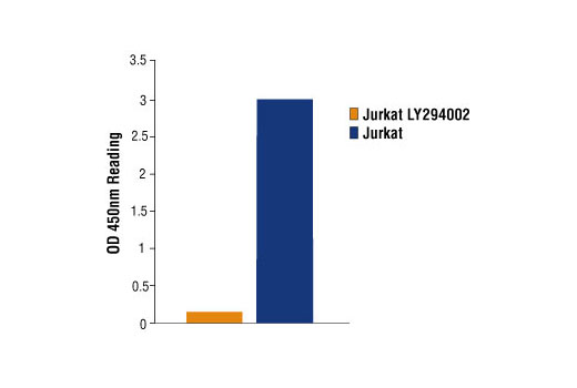 PathScan® Phospho-Akt1 (Ser473) Sandwich ELISA Kit - 1 Kit