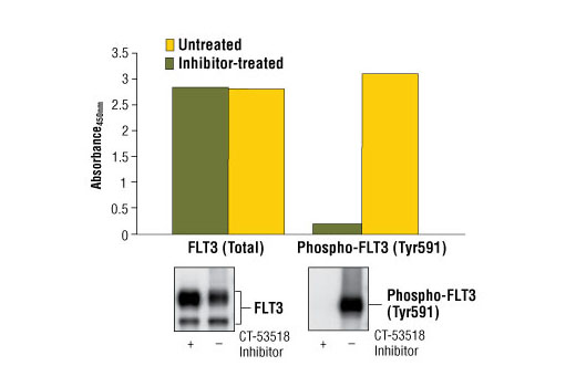 PathScan® Total FLT3 Sandwich ELISA Kit - 1 Kit