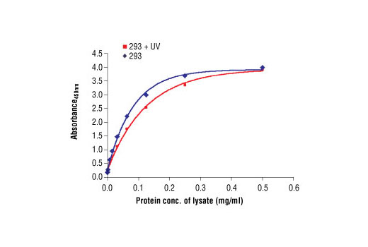 PathScan® Total SAPK/JNK Sandwich ELISA Antibody Pair - 1 Kit