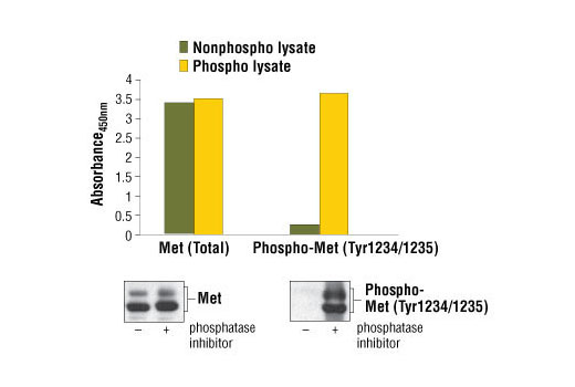 PathScan® Phospho-Met (Tyr1234/1235) Sandwich ELISA Kit - 1 Kit