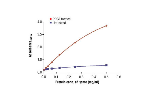 PathScan® Phospho-p44/42 MAPK (Thr202/Tyr204) Sandwich ELISA Antibody Pair - 1 Kit