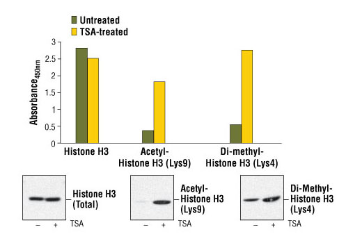 PathScan® Total Histone H3 Sandwich ELISA Kit - 1 Kit