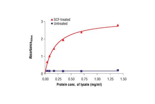 PathScan® Phospho-c-Kit (Tyr719) Sandwich ELISA Antibody Pair - 1 Kit