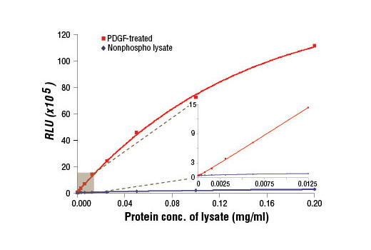 PathScan® Phospho-S6 Ribosomal Protein (Ser235/236) Chemiluminescent Sandwich ELISA Kit - 1 Kit