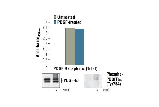 PathScan® Total PDGF Receptor α Sandwich ELISA Kit - 1 Kit