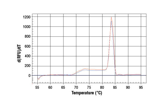 SimpleChIP® Mouse HoxA1 Promoter Primers - 500 ul