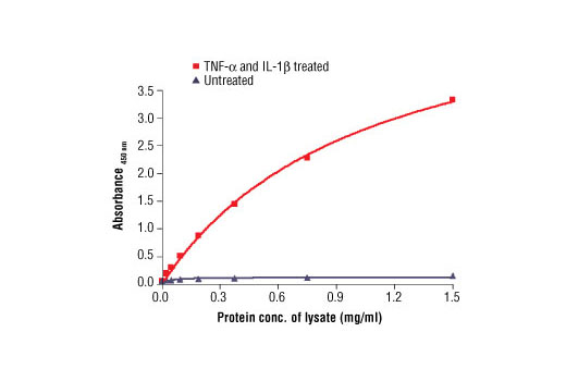 PathScan® Phospho-IκBα (Ser32) Sandwich ELISA Antibody Pair - 1 Kit