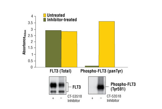 PathScan® Phospho-FLT3 (panTyr) Sandwich ELISA Kit - 1 Kit