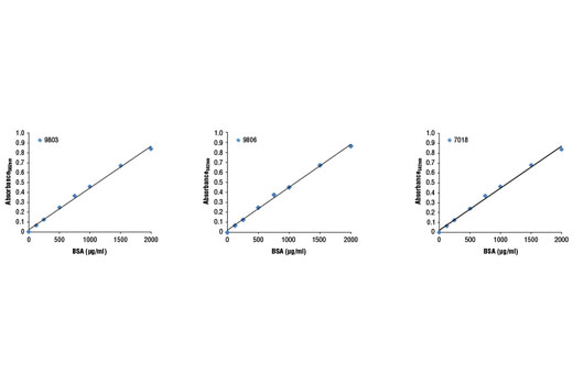 BCA Protein Assay Kit - 1 Kit