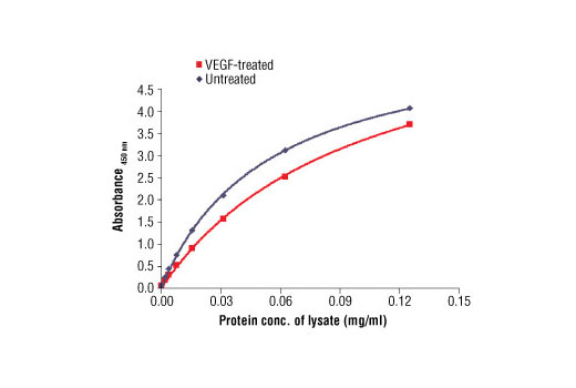 PathScan® Total VEGFR-2 Sandwich ELISA Antibody Pair - 1 Kit