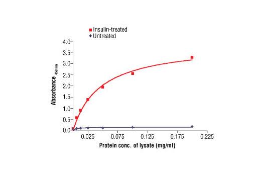 PathScan® Phospho-Insulin Receptor β (Tyr1146) Sandwich ELISA Antibody Pair - 1 Kit