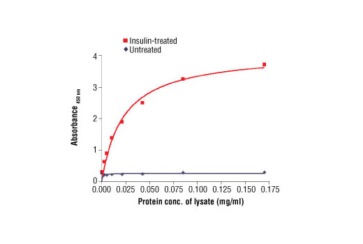 PathScan® Phospho-Insulin Receptor β (Tyr1150/1151) Sandwich ELISA Antibody Pair - 1 Kit