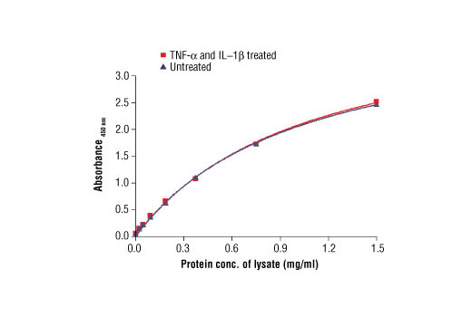 PathScan® Total IκBα Sandwich ELISA Antibody Pair - 1 Kit