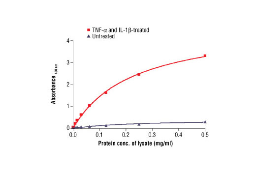 PathScan® Phospho-NF-κB p65 (Ser536) Sandwich ELISA Antibody Pair - 1 Kit