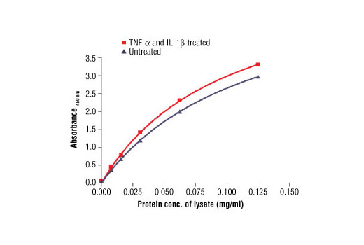 PathScan® Total NF-κB p65 Sandwich ELISA Antibody Pair - 1 Kit