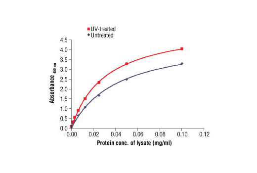 PathScan® Total p53 Sandwich ELISA Antibody Pair - 1 Kit