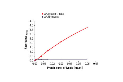 PathScan® Phospho-4E-BP1 (Thr37/Thr46) Sandwich ELISA Antibody Pair - 1 Kit