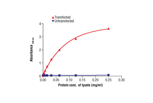 PathScan® Total GFP Sandwich ELISA Antibody Pair - 1 Kit