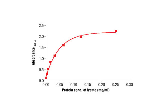 PathScan® Total β-Actin Sandwich ELISA Antibody Pair - 1 Kit