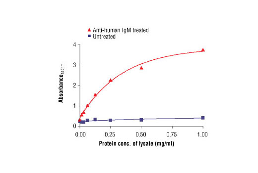 PathScan® Phospho-Syk (panTyr) Sandwich ELISA Antibody Pair - 1 Kit